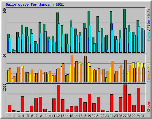 Daily usage for January 2021