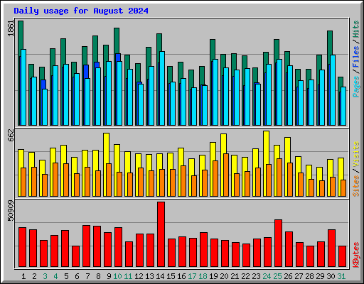 Daily usage for August 2024