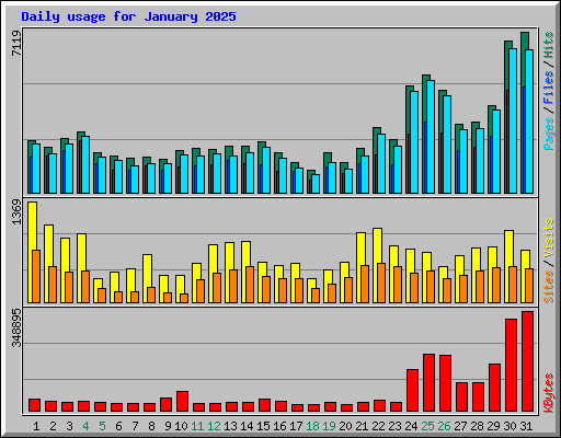 Daily usage for January 2025
