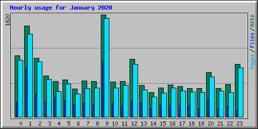 Hourly usage for January 2020