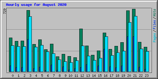 Hourly usage for August 2020