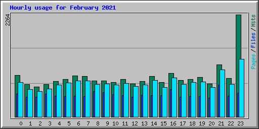 Hourly usage for February 2021