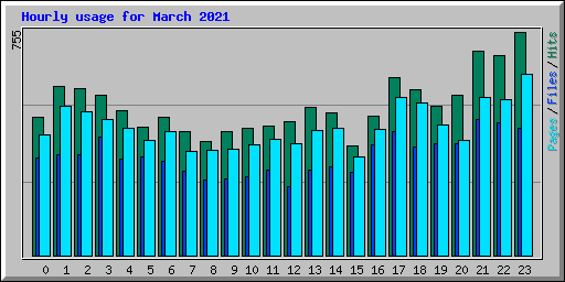 Hourly usage for March 2021