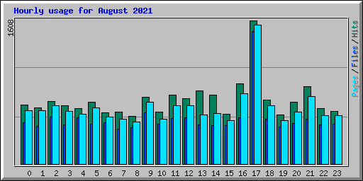 Hourly usage for August 2021