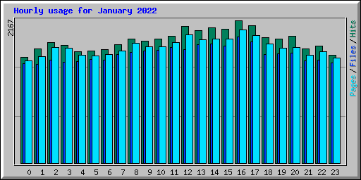 Hourly usage for January 2022