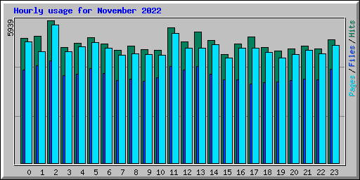 Hourly usage for November 2022