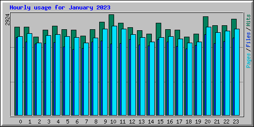 Hourly usage for January 2023