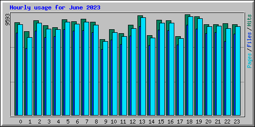 Hourly usage for June 2023