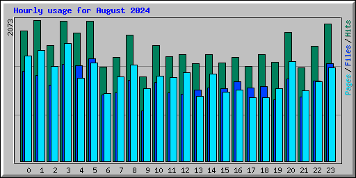 Hourly usage for August 2024