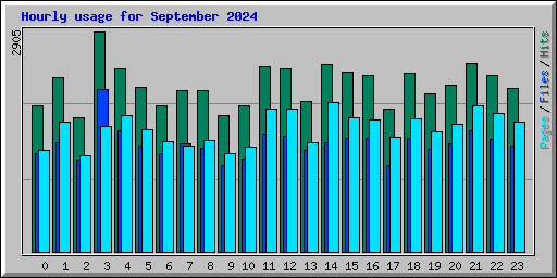 Hourly usage for September 2024