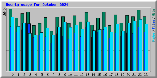 Hourly usage for October 2024