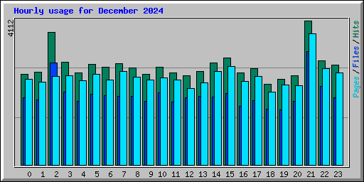 Hourly usage for December 2024