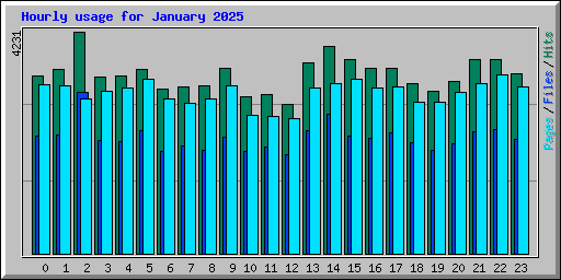 Hourly usage for January 2025