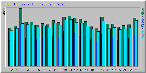 Hourly usage for February 2025