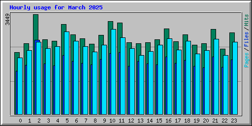 Hourly usage for March 2025