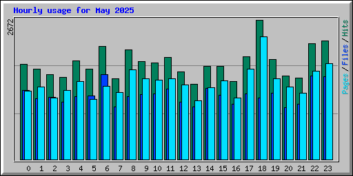 Hourly usage for May 2025