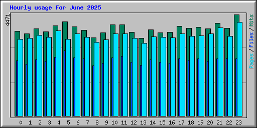 Hourly usage for June 2025