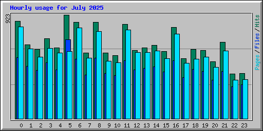 Hourly usage for July 2025