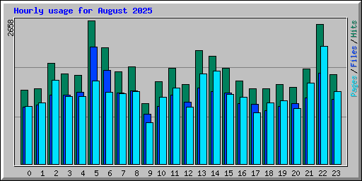 Hourly usage for August 2025