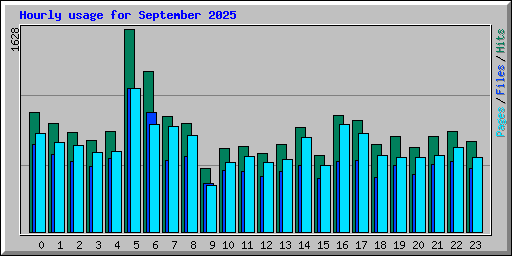 Hourly usage for September 2025