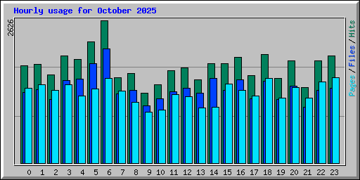 Hourly usage for October 2025