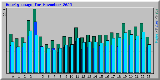 Hourly usage for November 2025