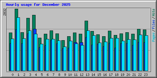 Hourly usage for December 2025