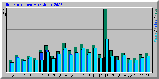 Hourly usage for June 2026